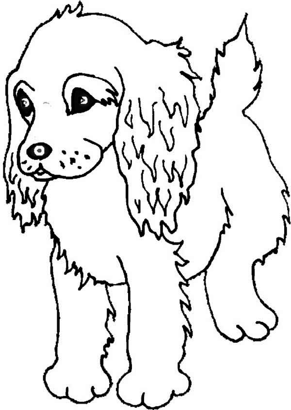 a coloring pages of a puppy - photo #39