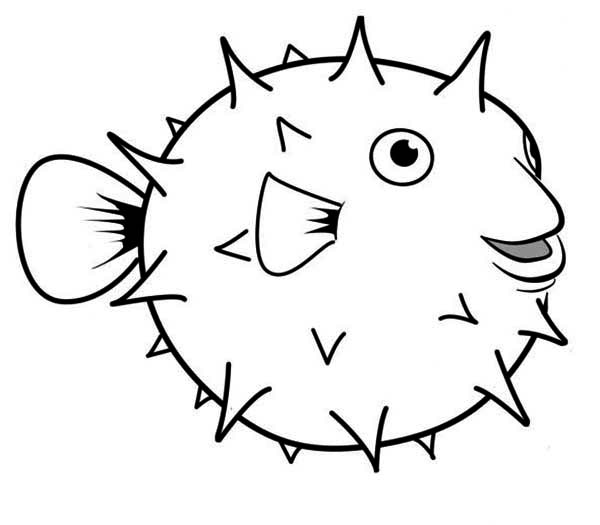 free puffer fish clip art - photo #38