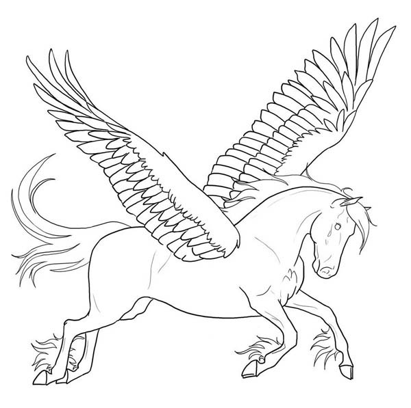 unicorn with wings coloring pages - photo #29