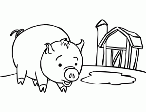 Baby Pig Coloring Pages
