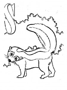 Baby Skunk Coloring Pages
