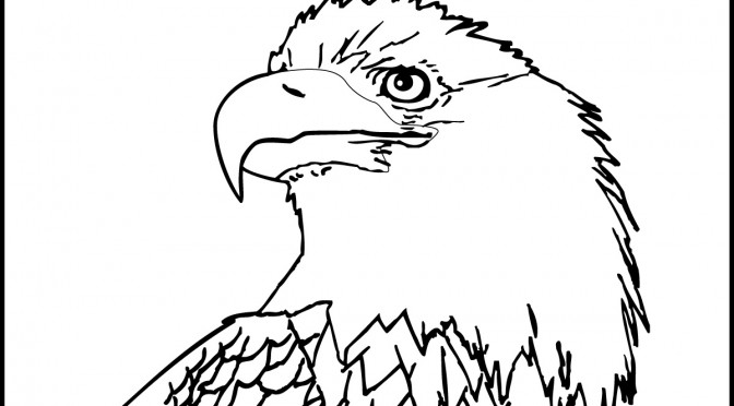 Printable Bald Eagle Coloring Pages
