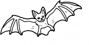 Coloring Pages of Bats