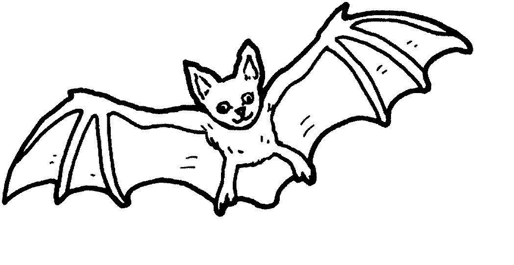  Bat Coloring   3