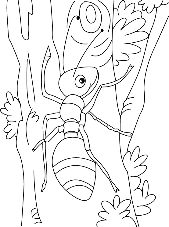 ant coloring page