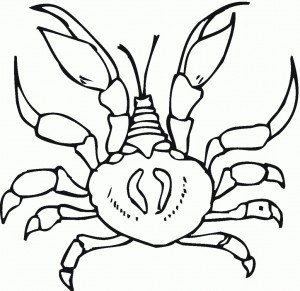 Free Printable Hermit Crab Coloring Pages