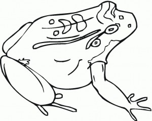 Free Printable Toad Coloring Pages