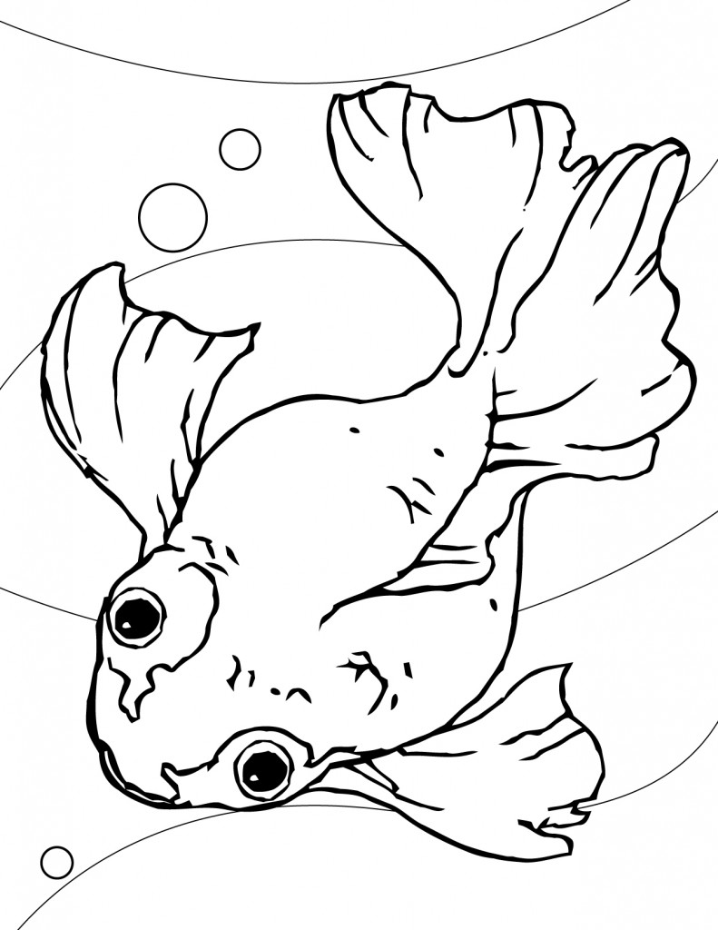 Printable Goldfish Coloring Pages
