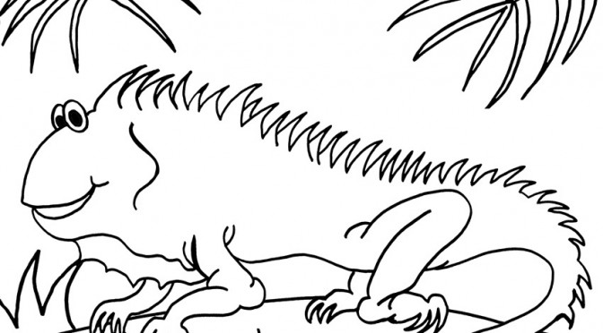 Printable Iguana Coloring Pages