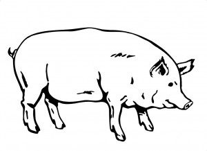 Peppa Pig Coloring Sheets
