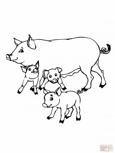 Pig Coloring Pages for Kids