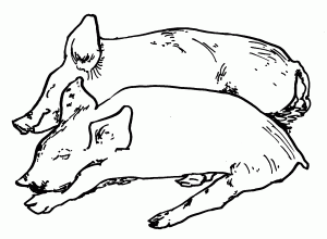 Pig Coloring Pages to Print