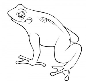 Printable Toad Coloring Pages