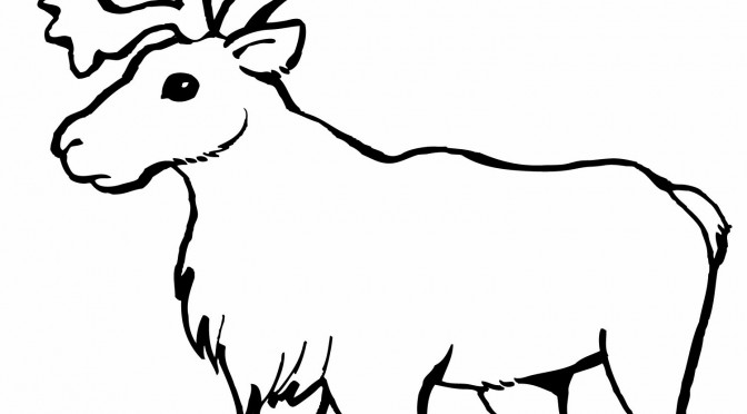 Printable Reindeer Coloring Pages