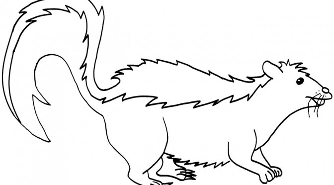 Printable Skunk Coloring Pages