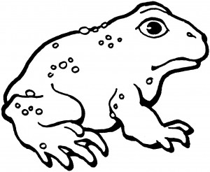 Toad Coloring Sheet