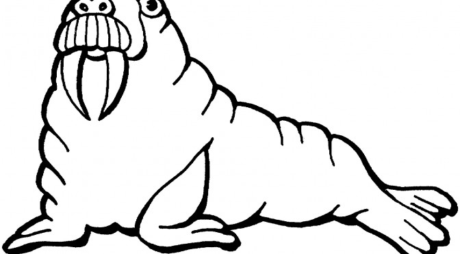 Printable Walrus Coloring Pages