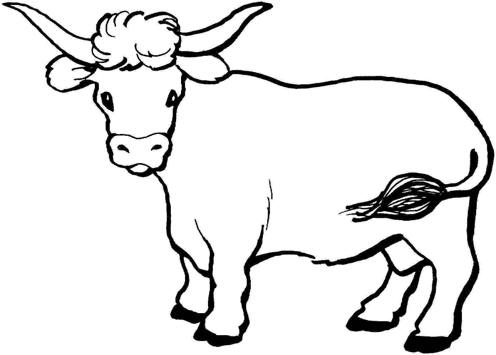 Baby Cow Coloring Pages.