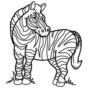 Coloring Pages of Zebras