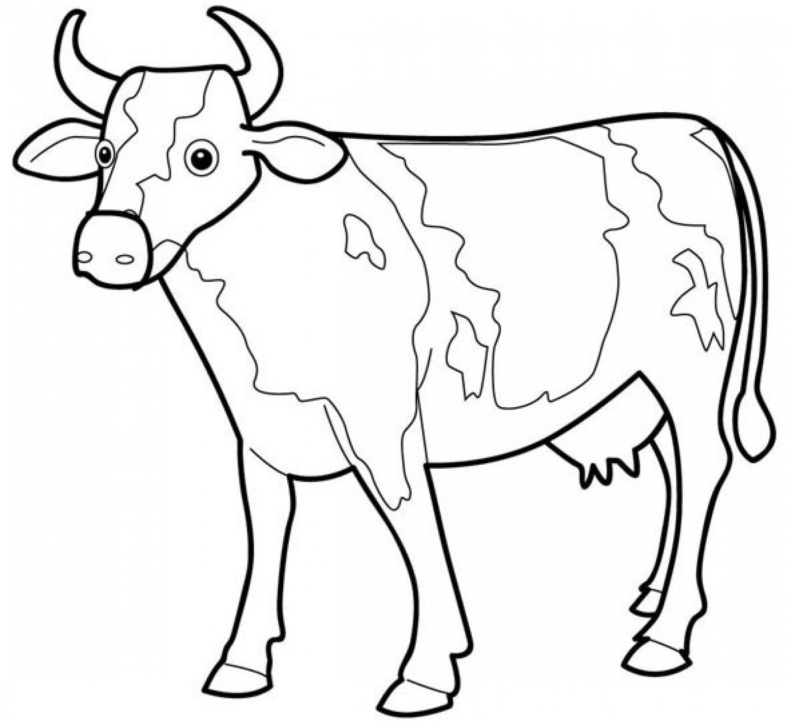 cow-coloring-pages-to-print-coloringme