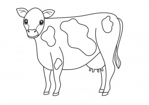 Printable Cow Coloring Pages | ColoringMe.com