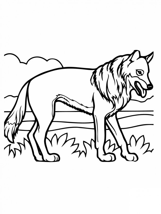 Printable Coyote Coloring Pages