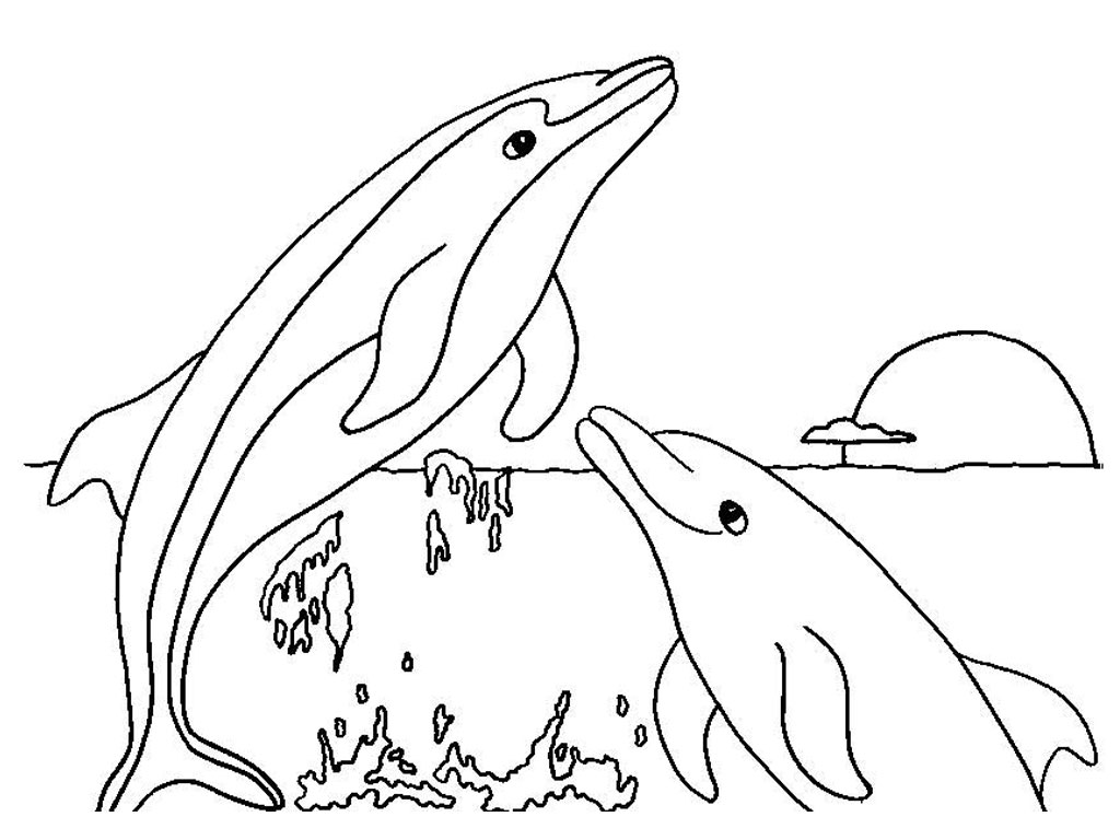 Collection of Dolphin Coloring Sheets.