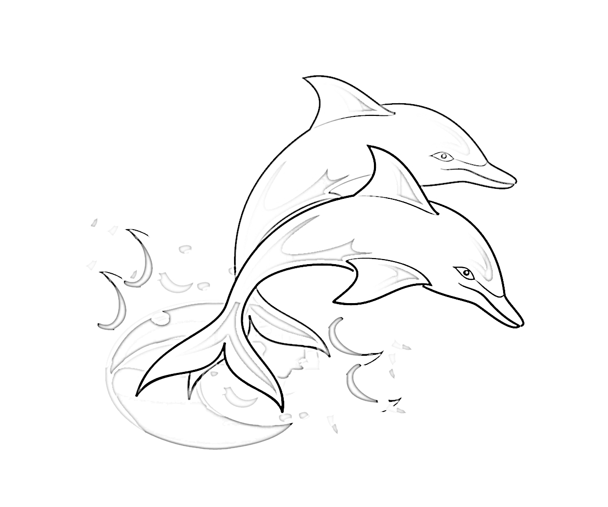 Printable Dolphin Coloring Pages  ColoringMe.com