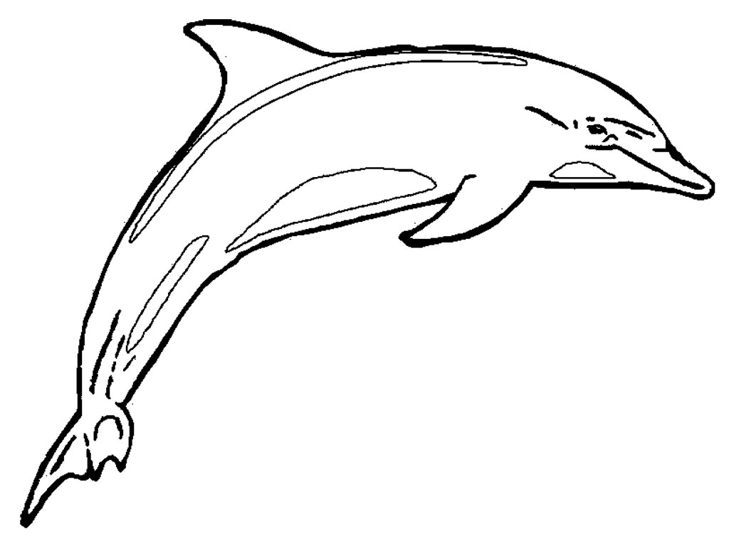 Download Printable Dolphin Coloring Pages | ColoringMe.com
