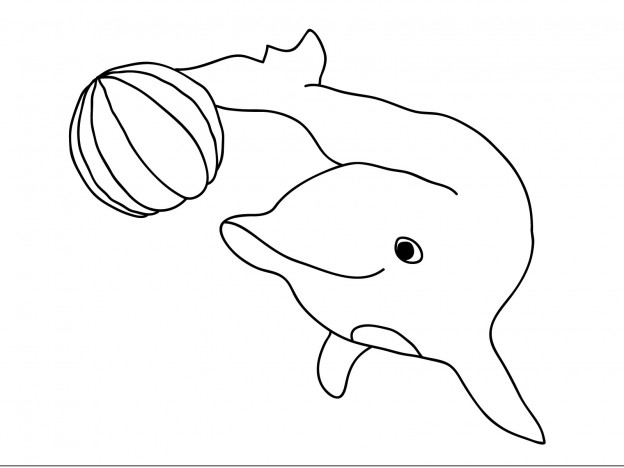 Printable Dolphin Coloring Pages