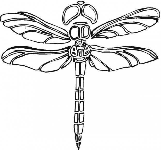 Printable Dragonfly Coloring Pages