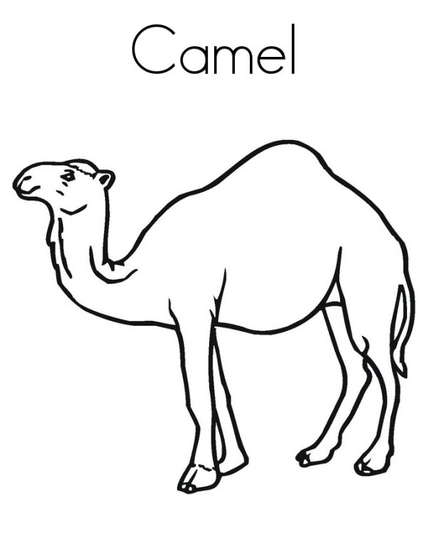 Printable Camel Coloring Pages