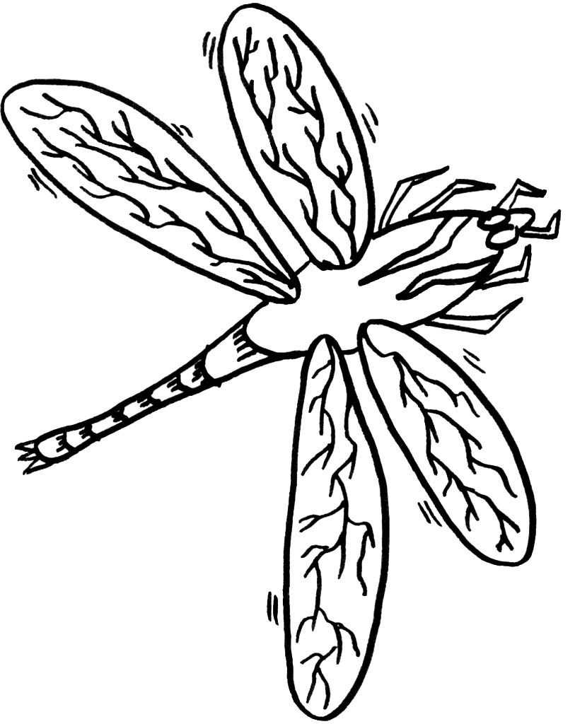 Free Printable Dragonfly Coloring Pages