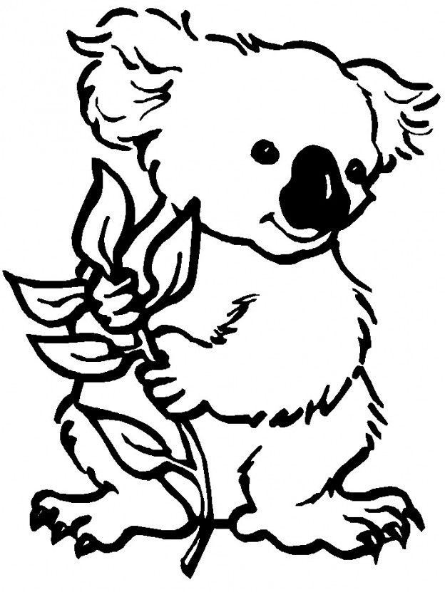 Printable Koala Coloring Pages