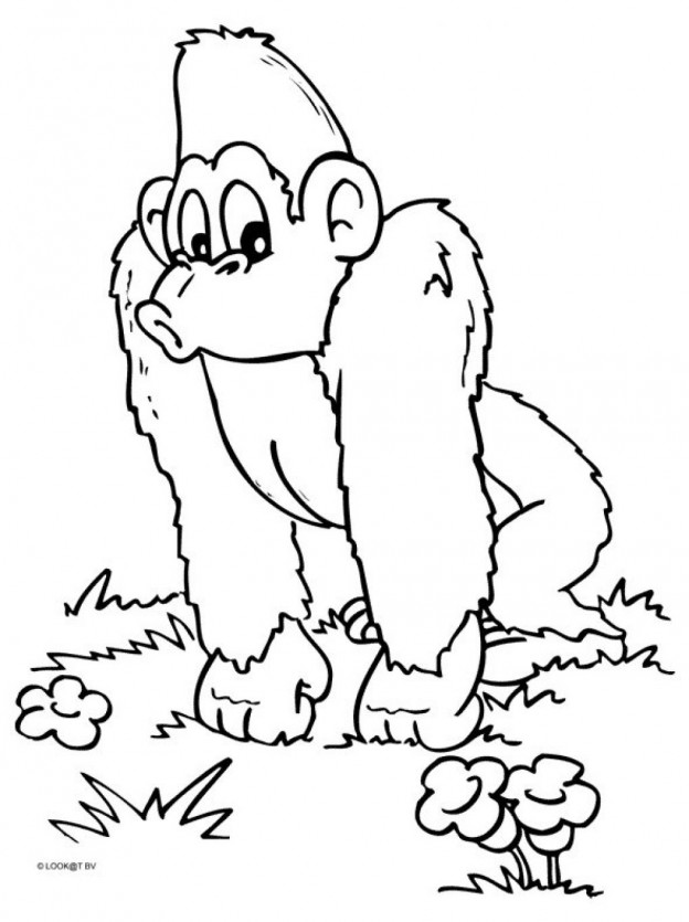 Printable Monkey Coloring Pages