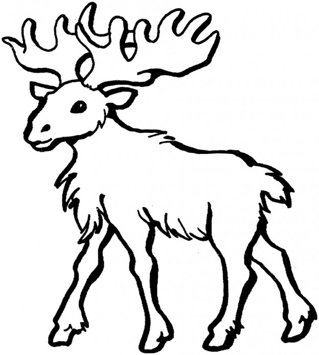 Printable Moose Coloring Pages