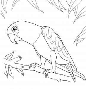 Parrot Coloring Pages Printable