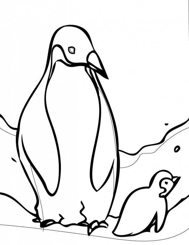 Printable Penguin Coloring Pages