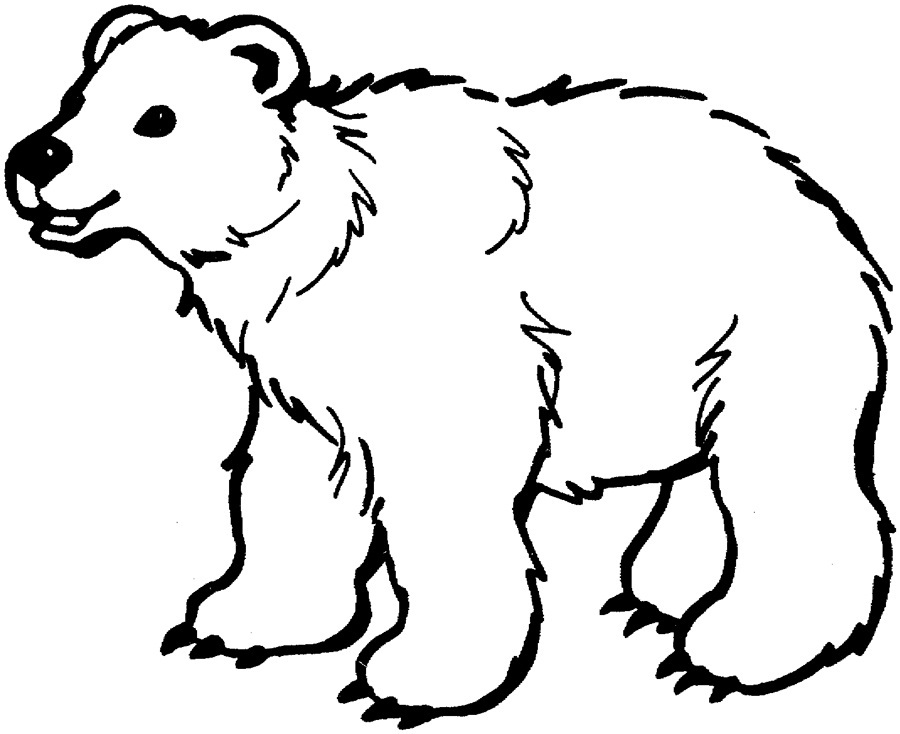 Free Bear Coloring Pages Ideas Printable Polar Lotso