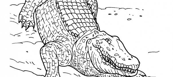 Printable Alligator Coloring Pages