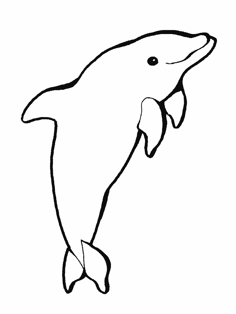 printable-dolphin-coloring-pages-coloringme