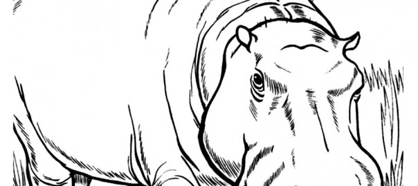 Printable Hippo Coloring Pages