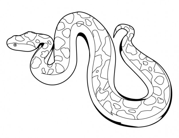 Printable Snake Coloring Pages