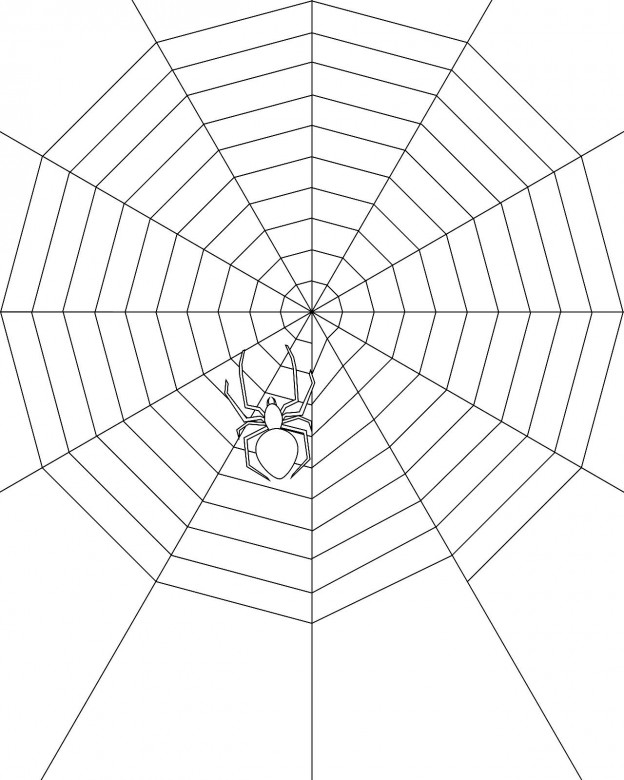 Printable Spider Web Coloring Pages