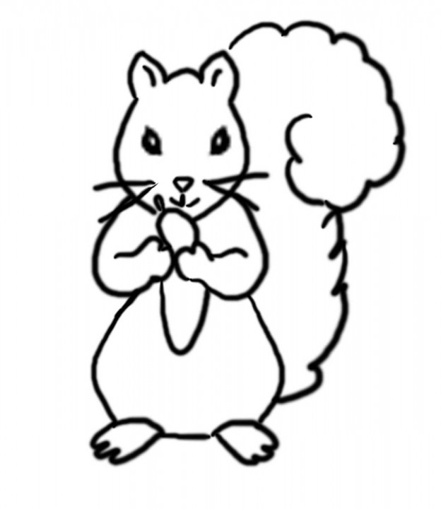 Printable Squirrel Coloring Pages