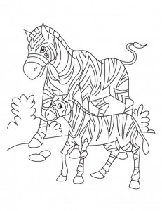 Zebra Coloring Sheet