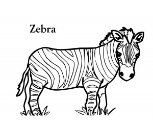 Zebra Coloring Sheets to Print