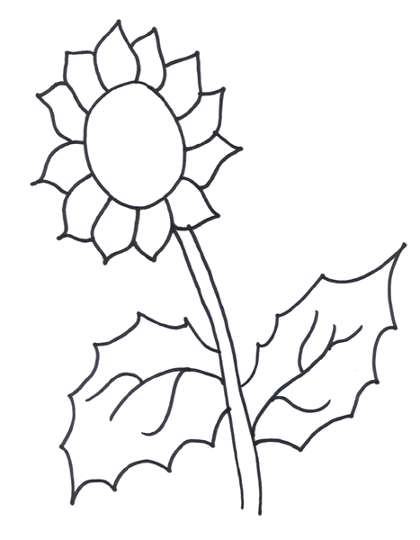Printable Sunflower Coloring Pages Coloringme Com