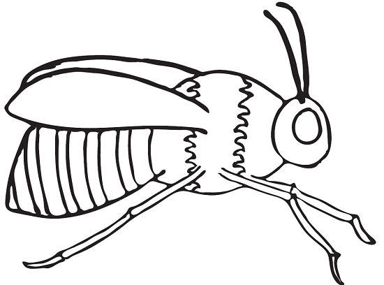 Printable Bee Coloring Pages