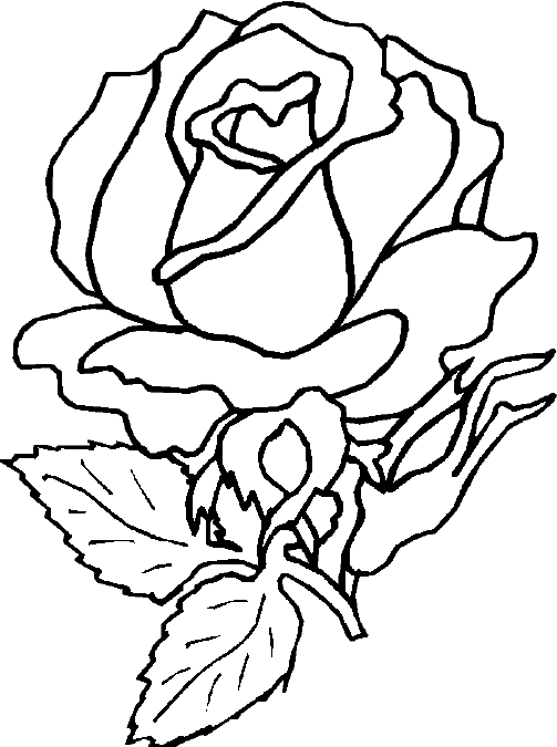 Printable Roses Coloring Pages